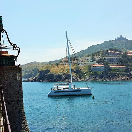 4Sap7 Appartement Avec Belle Terrasse Collioure Kamer foto