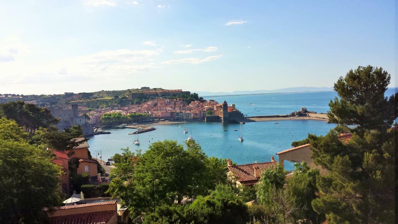 4Sap7 Appartement Avec Belle Terrasse Collioure Kamer foto