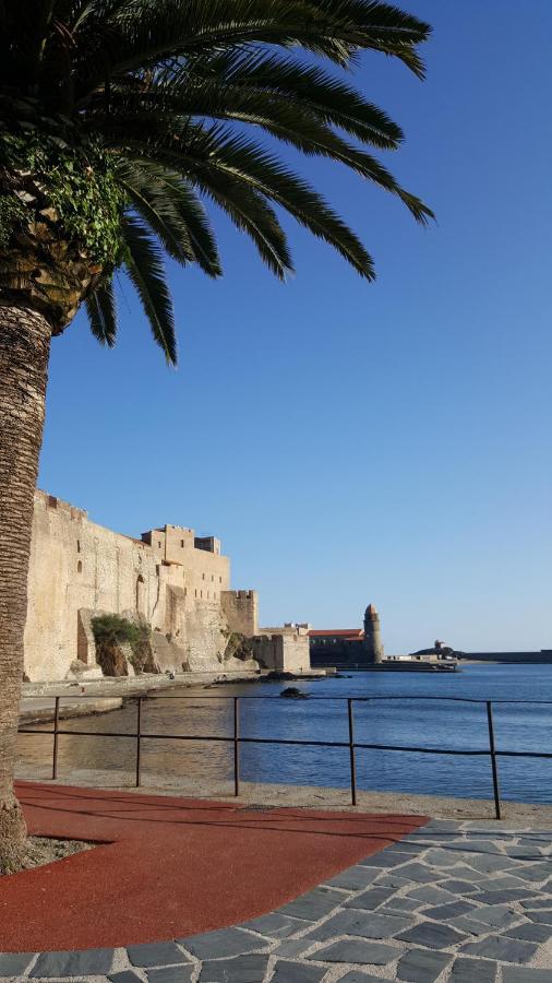 4Sap7 Appartement Avec Belle Terrasse Collioure Kamer foto